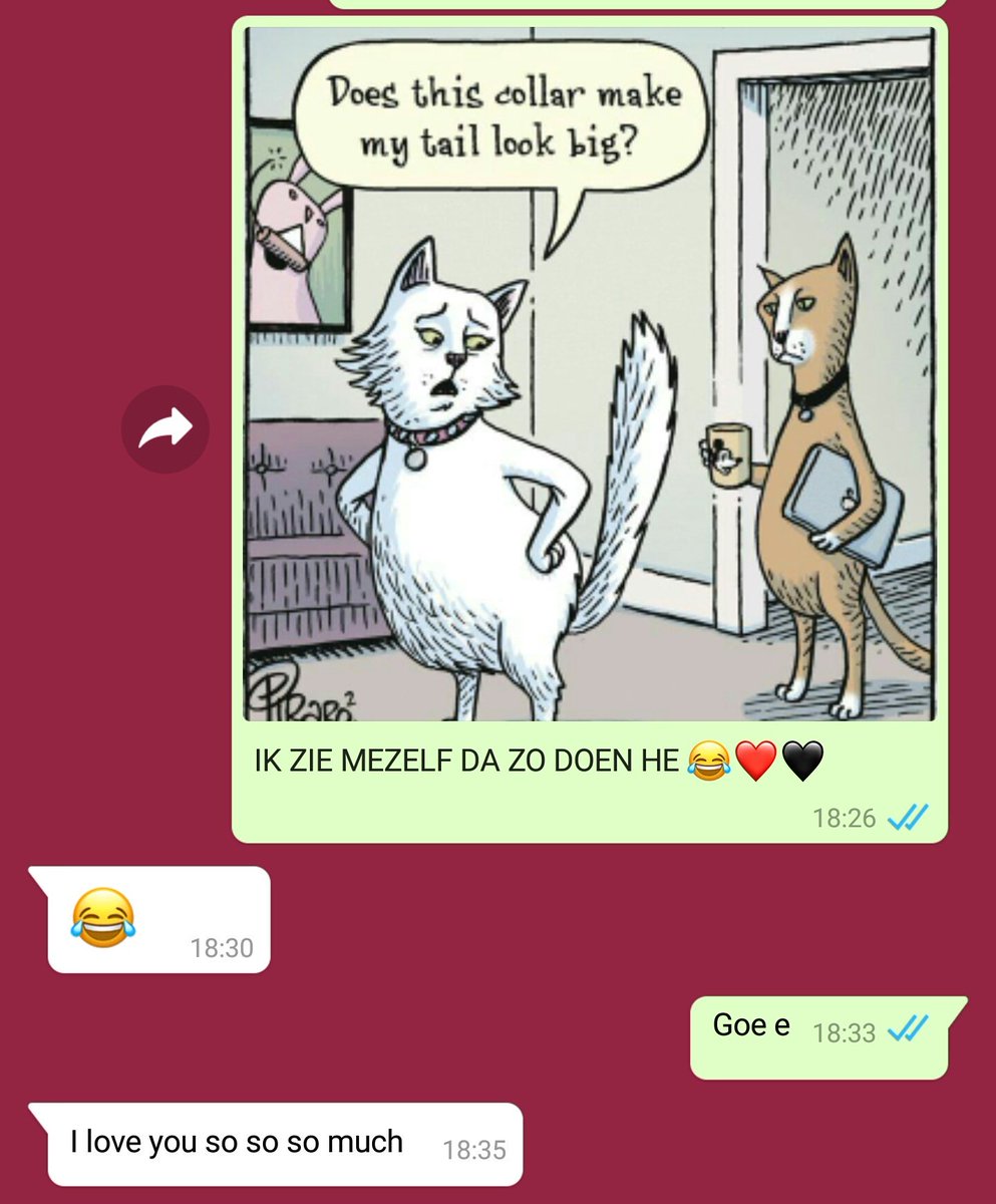 mrie_contrary's tweet photo. Because i'm so funny 😂😻 https://t.co/O2ar1OIvEf