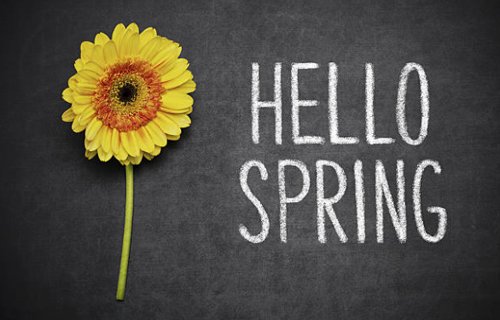 KitchenerGroup's tweet image. Spring has arrived! Happy #firstdayofspring #kitchener! from your dentists at Kitchener Dental