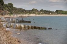 CampfireKidsNF's tweet photo. Join in: Lepe Beach Clean 25th March 10am - 3pm. How to get involved.
#lovewhereyoulive
#newforest
https://t.co/MiPtyKBJPB https://t.co/Inagp30G6x