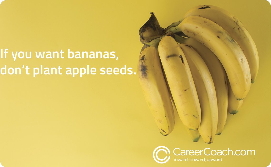 TanyaEzekiel's tweet photo. On the first day of Spring, what type of seeds are you planting? Check out Career Tip #51: https://t.co/dVyoY0j5Yq #careercoach #mgmttips https://t.co/x7CuoBPEme