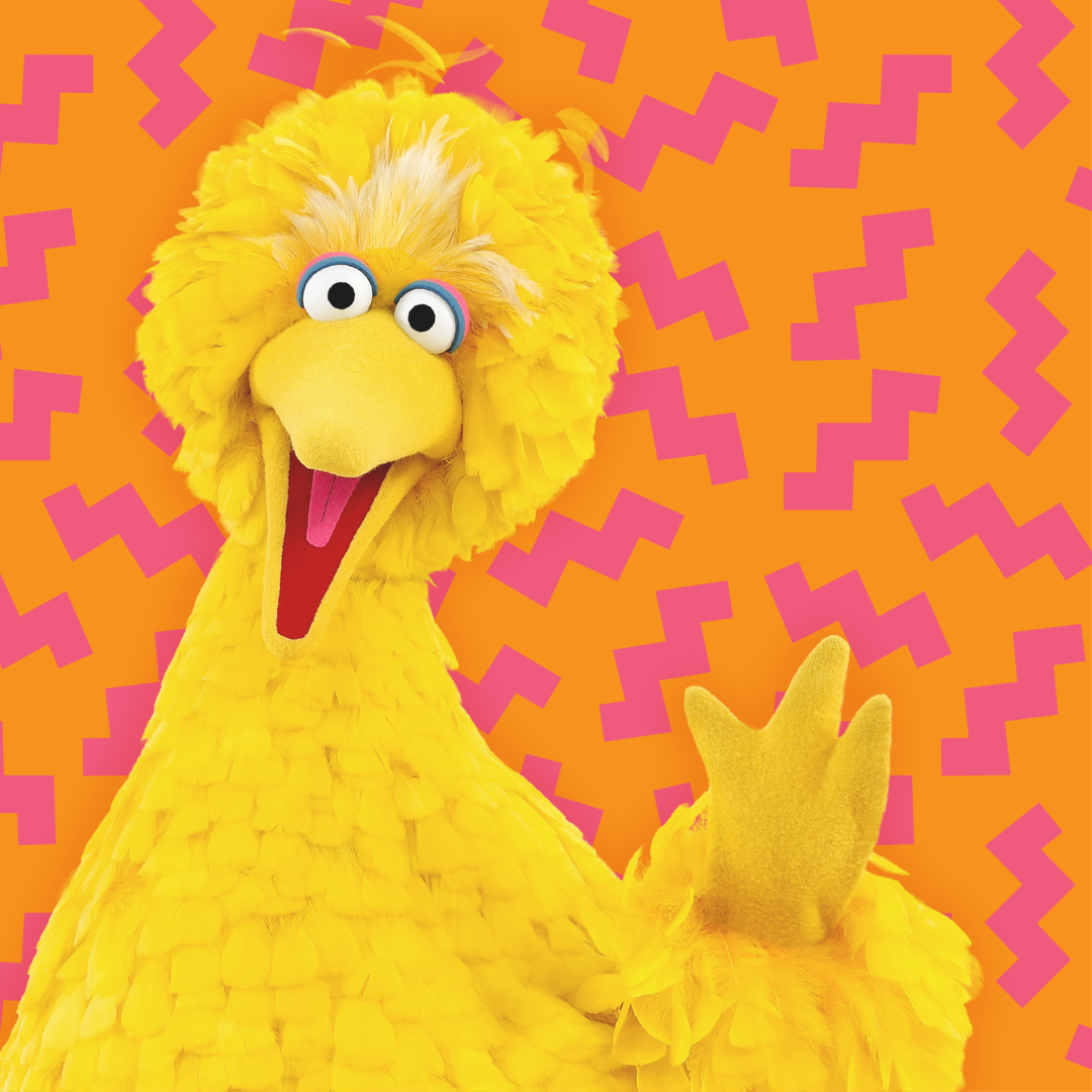 sesamestreet's tweet photo. Happy Birthday, @BigBird! Join us as we celebrate the world's happiest bird for #InternationalDayOfHappiness and tweet him birthday wishes! https://t.co/f3nzNbpl7a