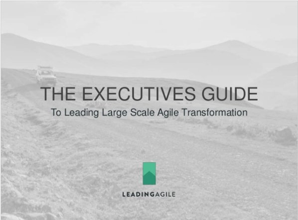 Wednesday Mike will be presenting The Executive's Step-by-Step Guide to Leading Large-Scale Agile <a href="/scrumatlanta/">Scrum Atlanta</a>.