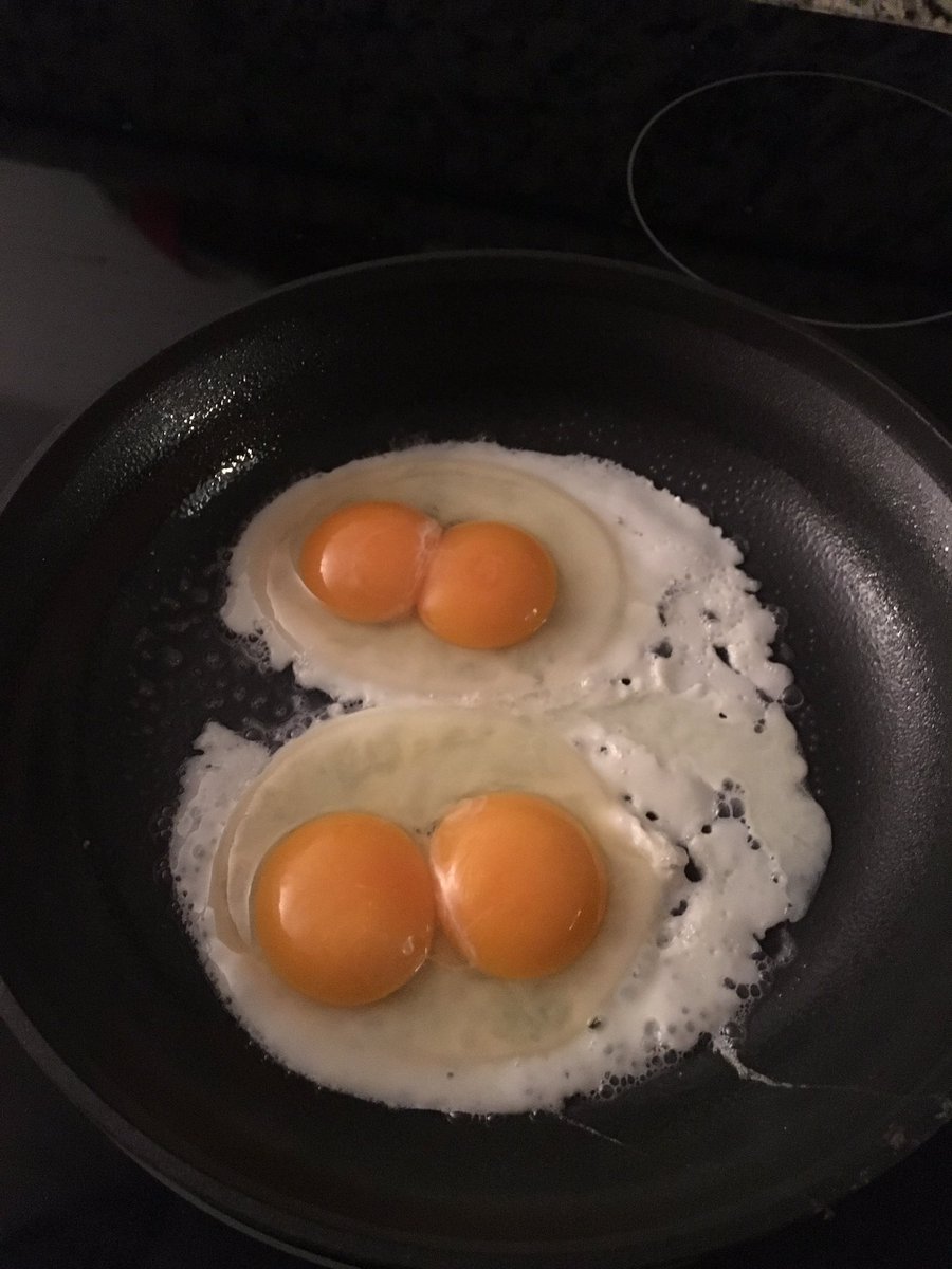 LuvinLifeGirl's tweet photo. Two double yokers....gonna be a great day on the farm. #lucky #sunnysidefarms #farmgirl https://t.co/nAhtsazuxl