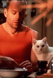 Happy Belated Birthday (March 19) to Bruce Willis, actor and 