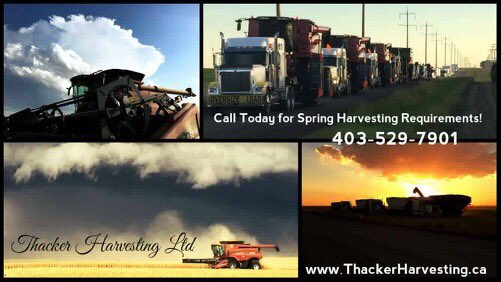 LouiseCarduner's tweet photo. Alberta &amp; Sask farmers who have crop left out from last fall - call Thackers at 14038333900 to get a quote on rates. #plant17 #harvest17 https://t.co/YHSIRsBF6S