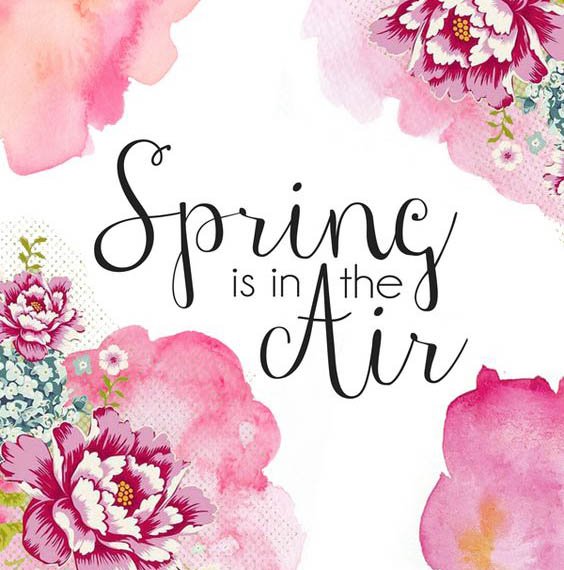 Happy Spring Equinox! We are very excited about the change in season! #spring2017 #springisintheair #spring2017