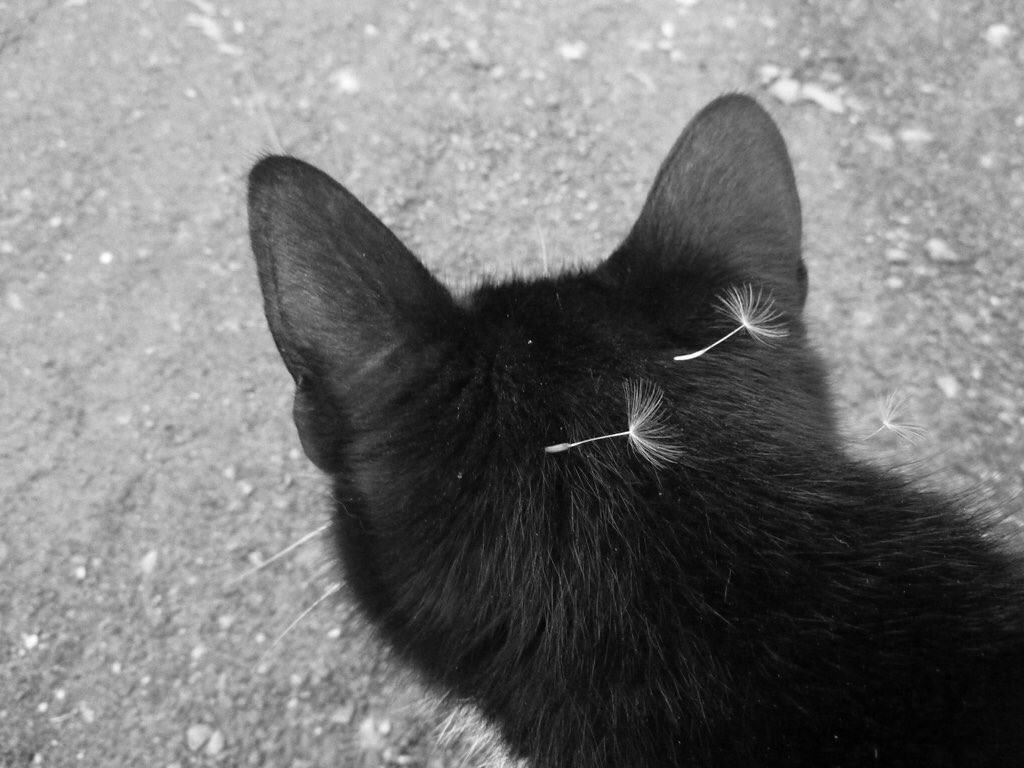 #firstdayofspring and its already all over me