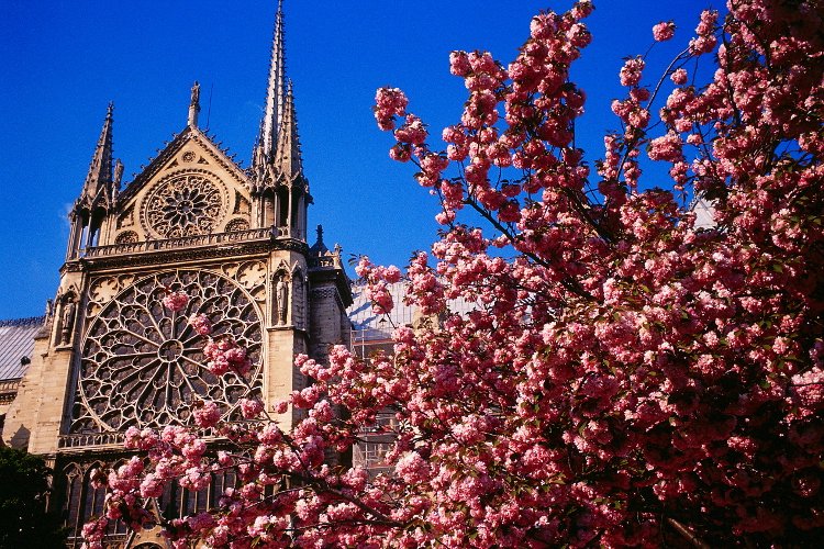 Aujourd'hui c'est le #printemps et c'est aussi la #journeemondialedubonheur ! Toute l'équipe vous souhaite de bonnes locations avec <a href="/Zilok/">Zilok</a> !