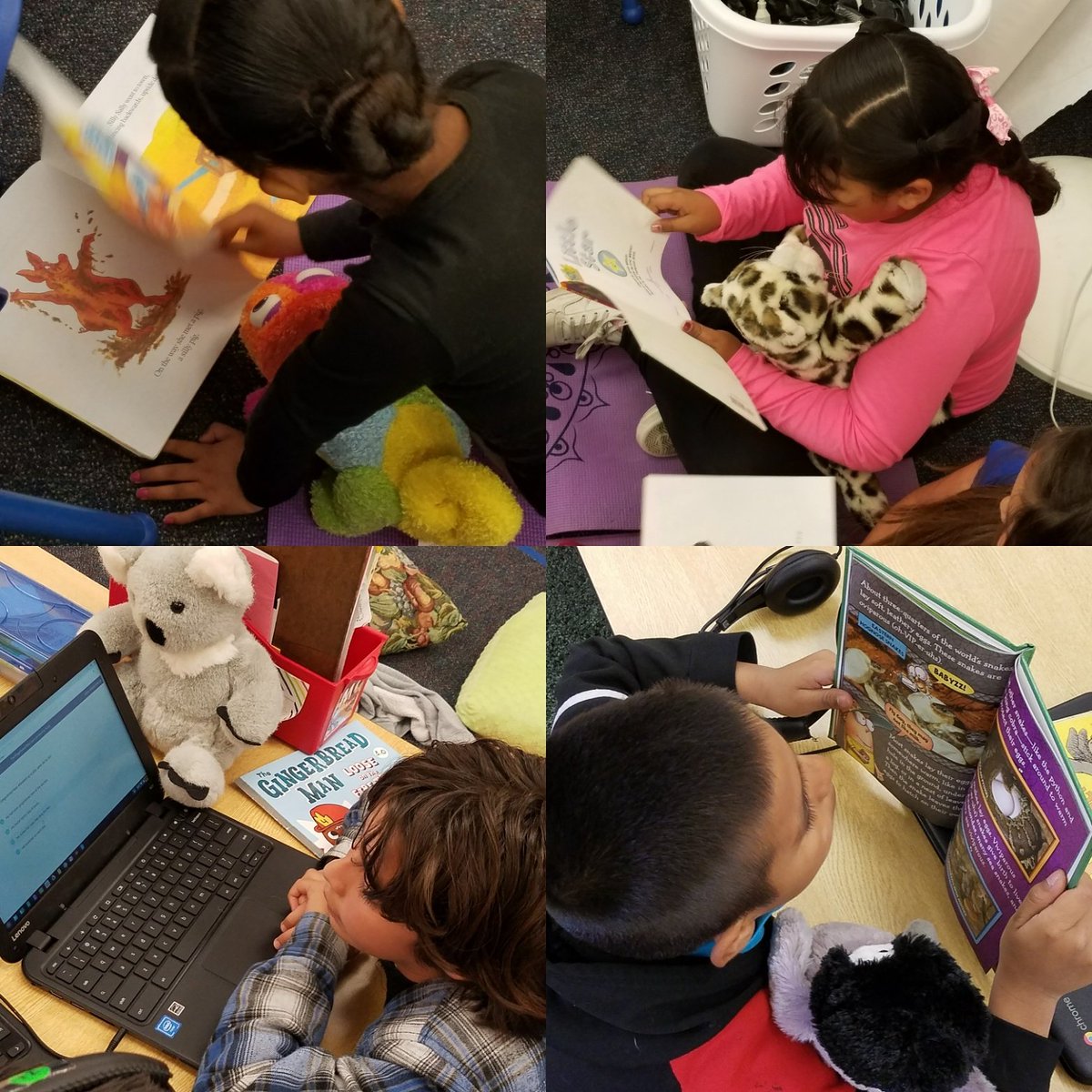 Jennifer Nelson tweet media