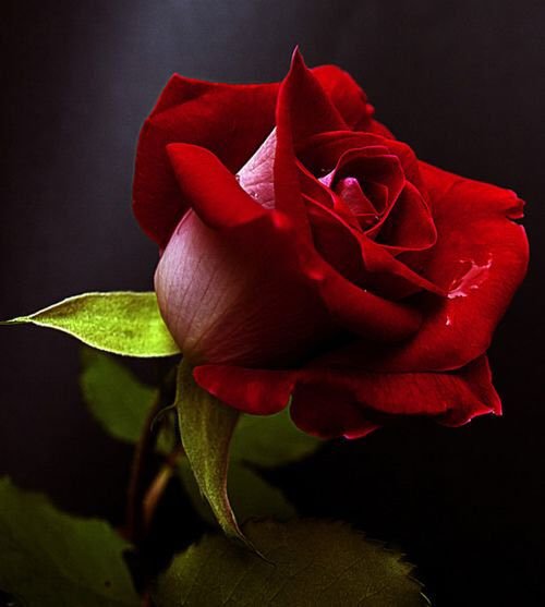 <a href="/ghadazien/">ghada</a>