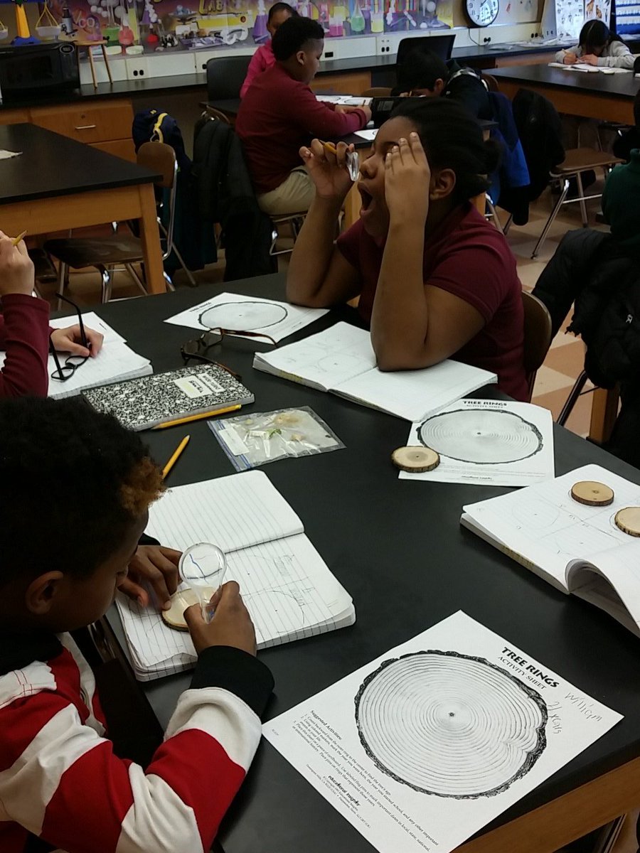 3-315 being dendrochronologists studying tree ring growth.