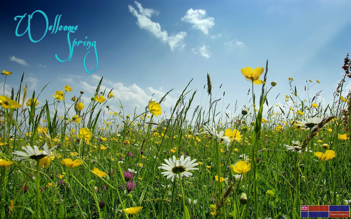 FisherAcademy's tweet photo. Hoy damos la bienvenida a la #primavera! 🌹🌻🌼 #spring #wellcomespring #inglesalgeciras #fisheracademy https://t.co/0p39GdIcI3