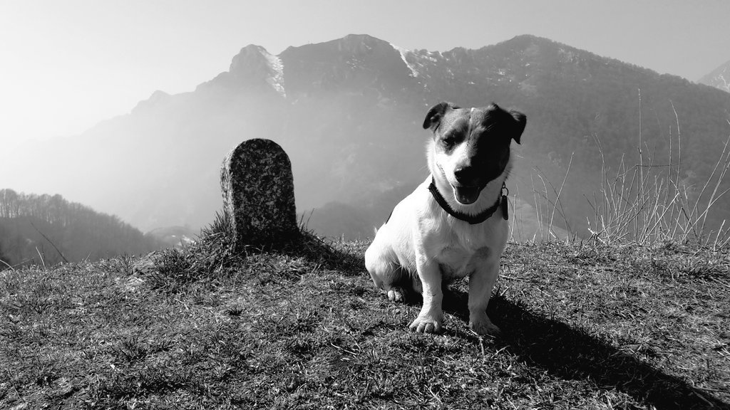 ALBERTO_1977_'s tweet photo. #MonteDueMani #1666mt @Orobiando @OrobieAlps @inter_valli @TurismoBergamo @altobrembo @daniele_astori @filippogherard4 https://t.co/MqJGPVtj6h