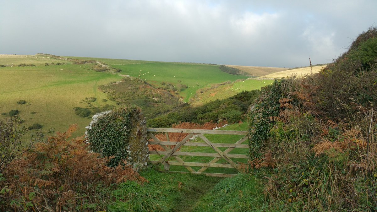TorringsBarn's tweet photo. #luxury #selfcatering this #Easter from just £625
https://t.co/hRulWnsiDk 
#EastPrawle #Devon #Salcombe #Kingsbridge #Dartmouth #Dartmoor https://t.co/gfQZh5zAfl