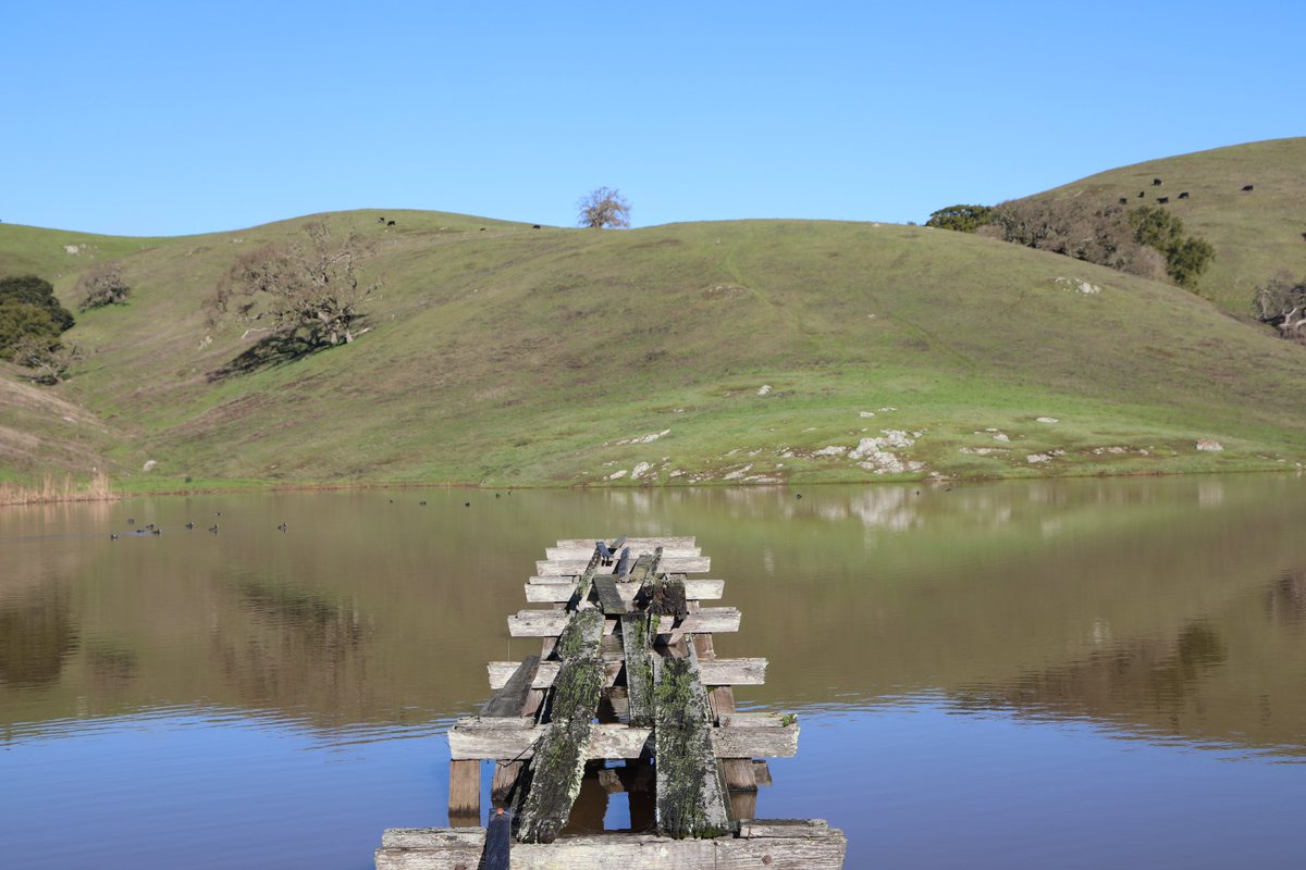 Happy #firstdayofspring to our fellow farmers, friends, and all good earthlings!