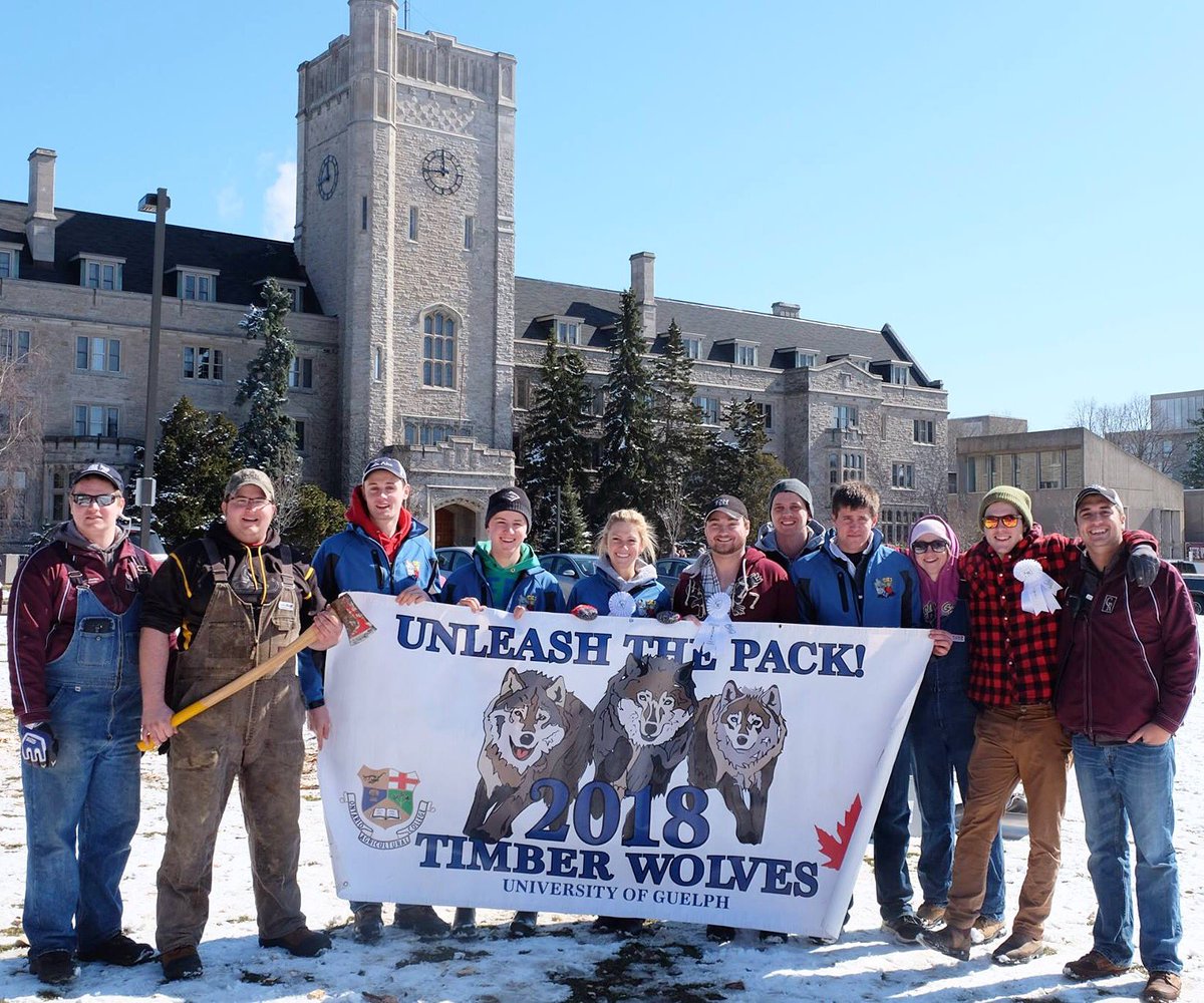 2018 Timber Wolves tweet media