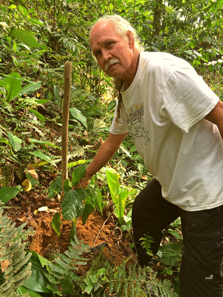 EnvironomicaNgo's tweet photo. Cos’è la riforestazione partecipativa? A cosa serve? Cercheremo di spiegare tutto in quest’articolo.https://t.co/54Zd8bwQhU😃 https://t.co/Yj6UFEgj20