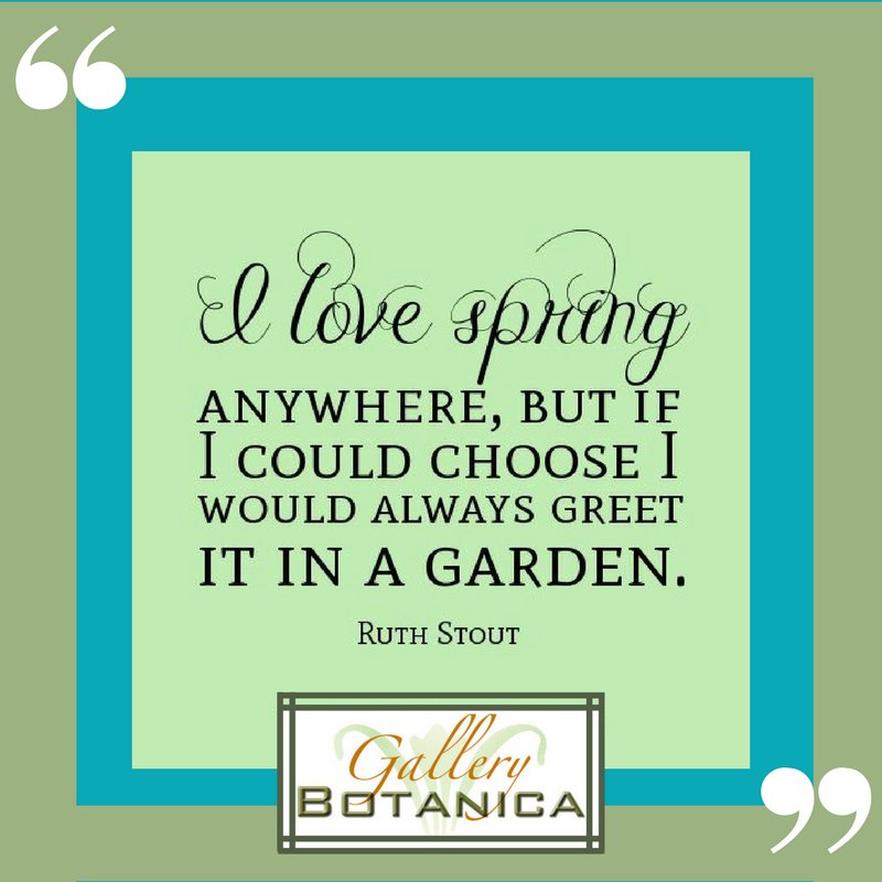 GalleryBotanica's tweet photo. #firstdayofspring#etsyshop#gallerybotanica#gardening#spring#wisdom#mondaymotivation#botanical#artprint#collectors#springfling https://t.co/Epv6OM5ek0