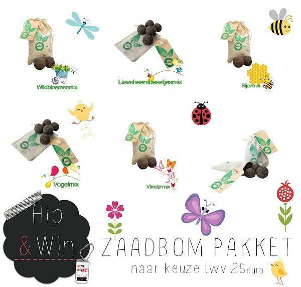 HippeShops's tweet photo. ✨GIVEAWAY✨ 
WIN: Zaadbom Pakket (twv €25) en creëer je eigen bloemenzee
https://t.co/r4n96Hv0F5 
#winactie #lente #giveaway #winnen RT #RT https://t.co/aODBY8GSAx