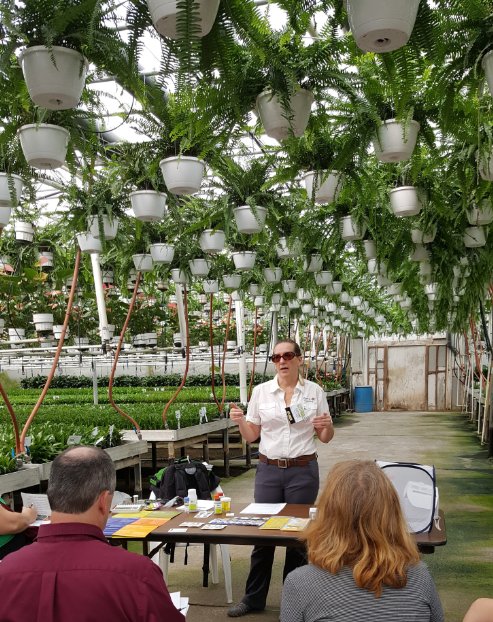 BugladySuzanne's tweet photo. Still time to signup for my free webinar on biocontrol today https://t.co/okDUzy1cVy  @TheGardenChat #biocontrol @Bioline_Ag #organic https://t.co/B9cSEESUIb