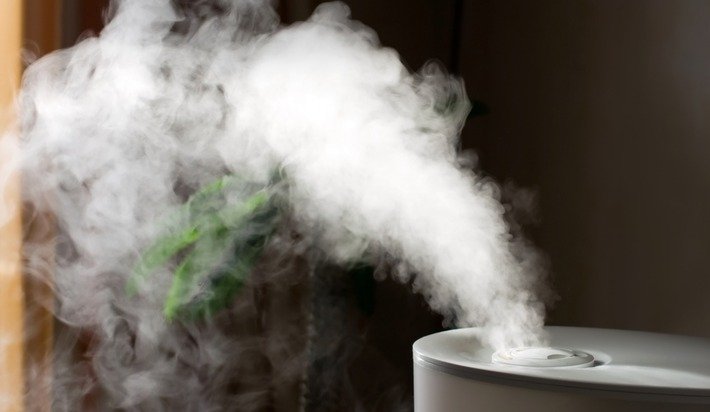 FragalaScapes's tweet image. Is dry air bad for you? Why those with asthma and other respiratory ailments might w... otbd.it/Tf0n8M