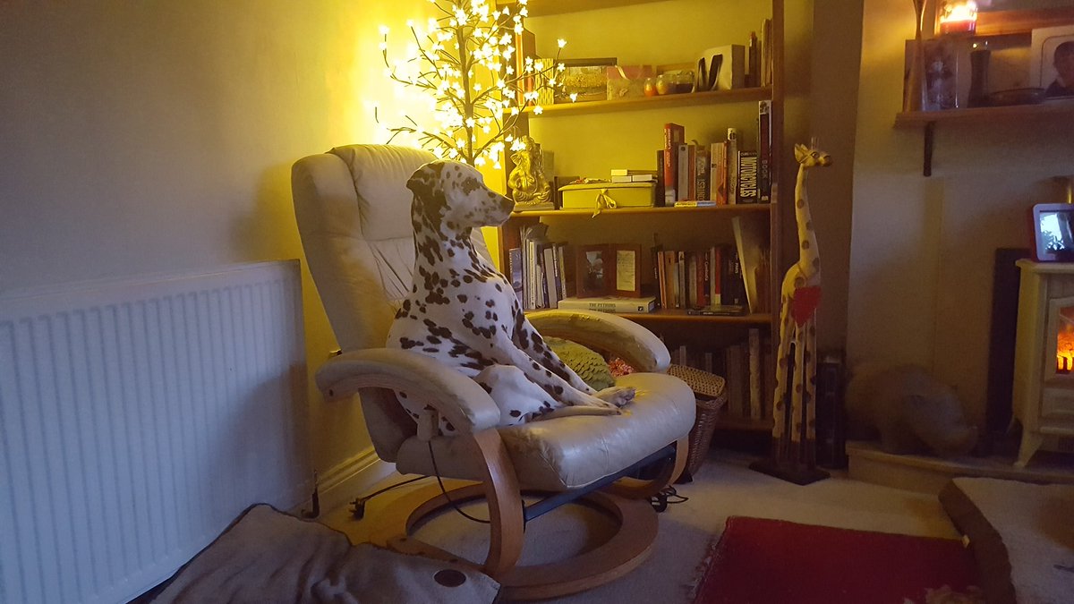 emmamonkman's tweet image. I'm waiting for my Daddy