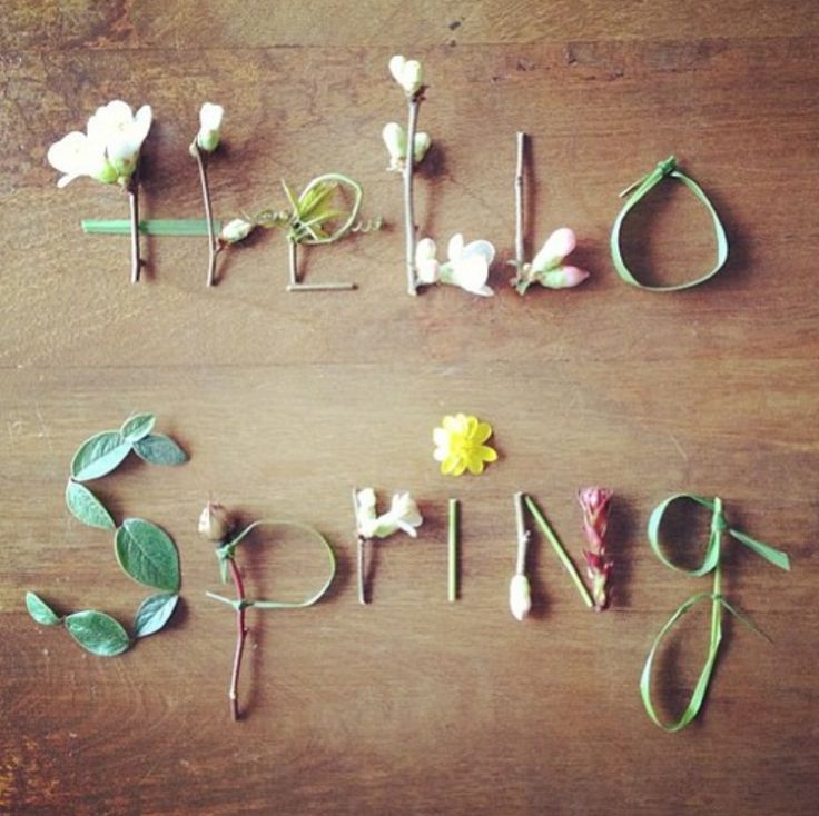 weaversart's tweet photo. Hello Spring! We've been waiting for you!
#firstdayofspring #cheerfulmonday #hope #inspiration https://t.co/XtPtAYyk4o