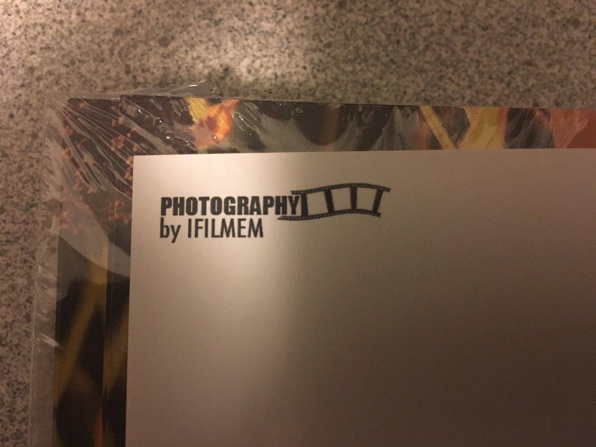 tamottwolverton's tweet photo. Just in time for Spring. My first batch of post cards are ready https://t.co/yjRxI8JMES
