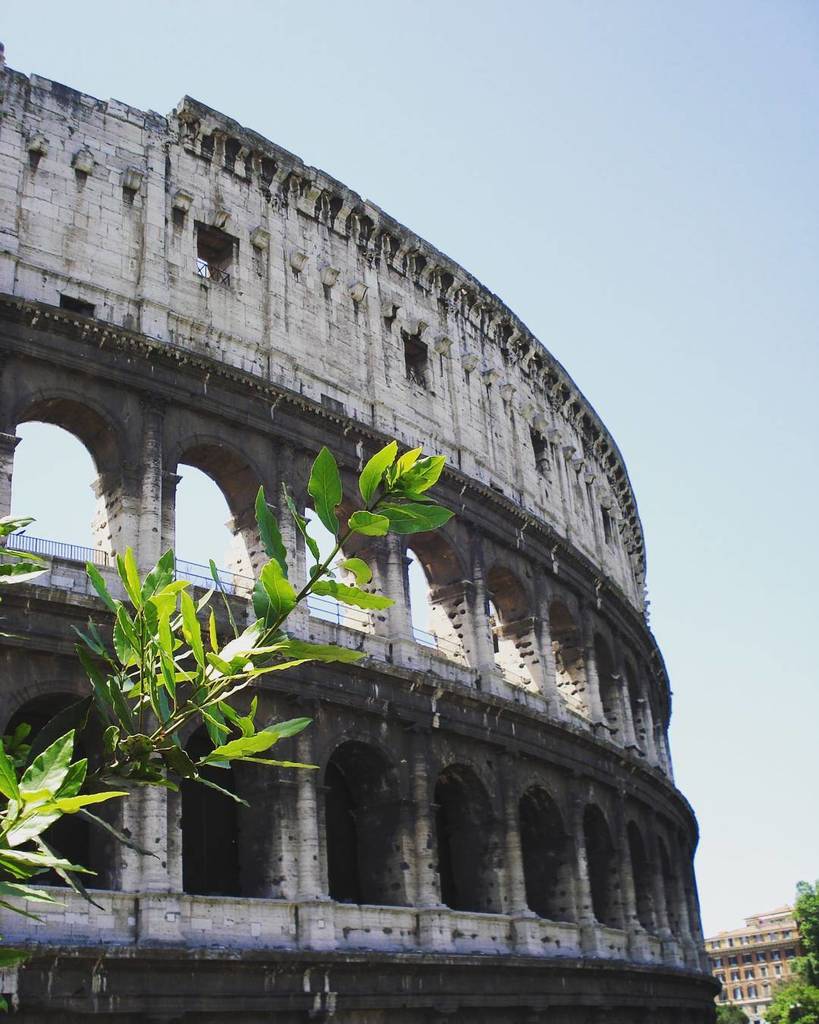 passionvacation's tweet photo. Frühling!
#Kolosseum 🏟️ #Spring #Beautiful #Rome #Italy 🇮🇹 #Europe #Holidays #IGEurope #Reisen 🚄  #traveling ✈️ #Ca… https://t.co/lQk4XtZZSw