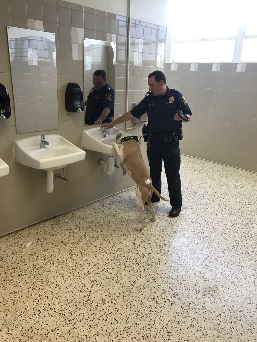 K9 Athena tweet media