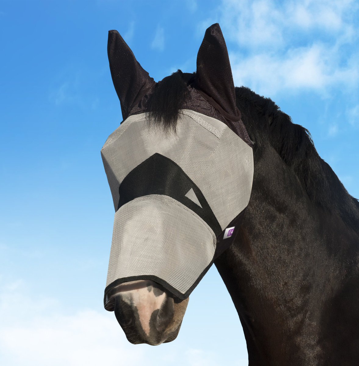 kmelite's tweet photo. Summer essentials from KM Elite #summer #flyprotection #horse #equine https://t.co/M5k1vMhQyh