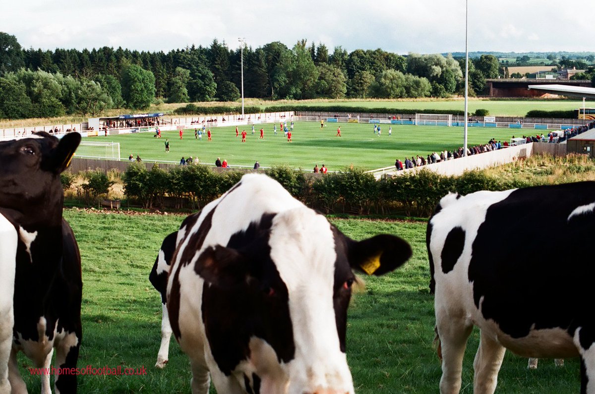 homesoffootball 💙 tweet media