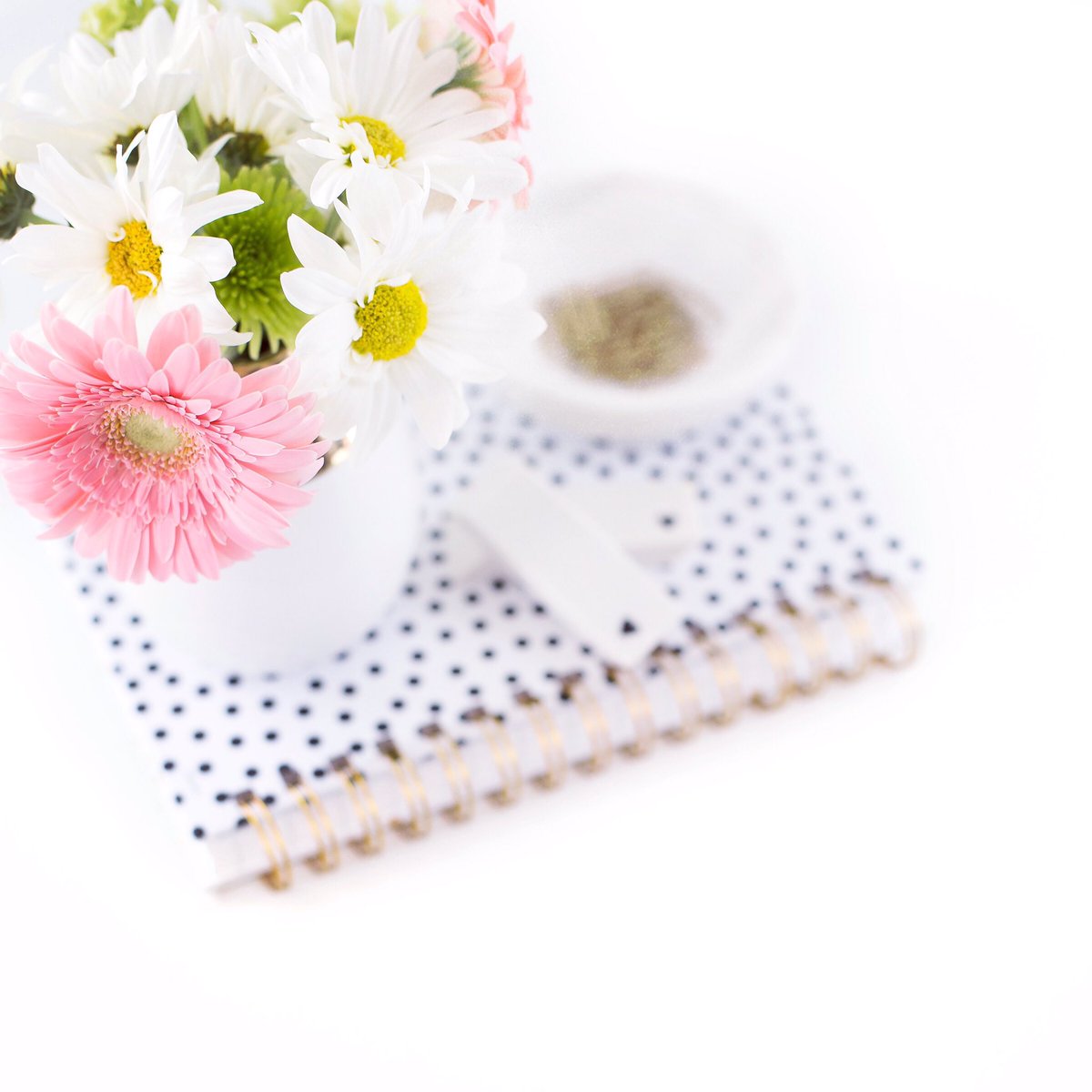 RocketBabyBox's tweet image. Spring is in the air! 💐 How are you spending the first day of #spring?