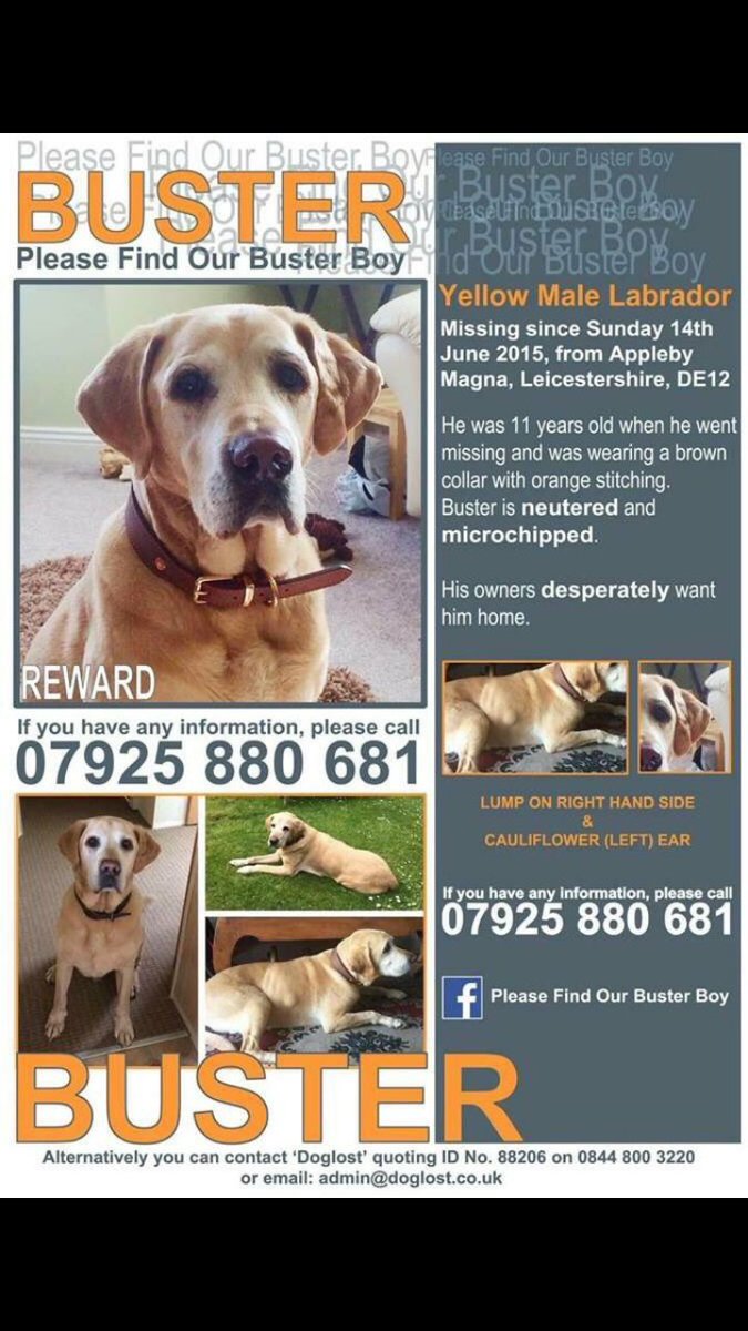 Please keep sharing - my friends #labrador Buster - still missing from #Leicestershire #FindBuster <a href="/Findbuster/">Help Find Buster</a> Thank you... 🐾🐾
