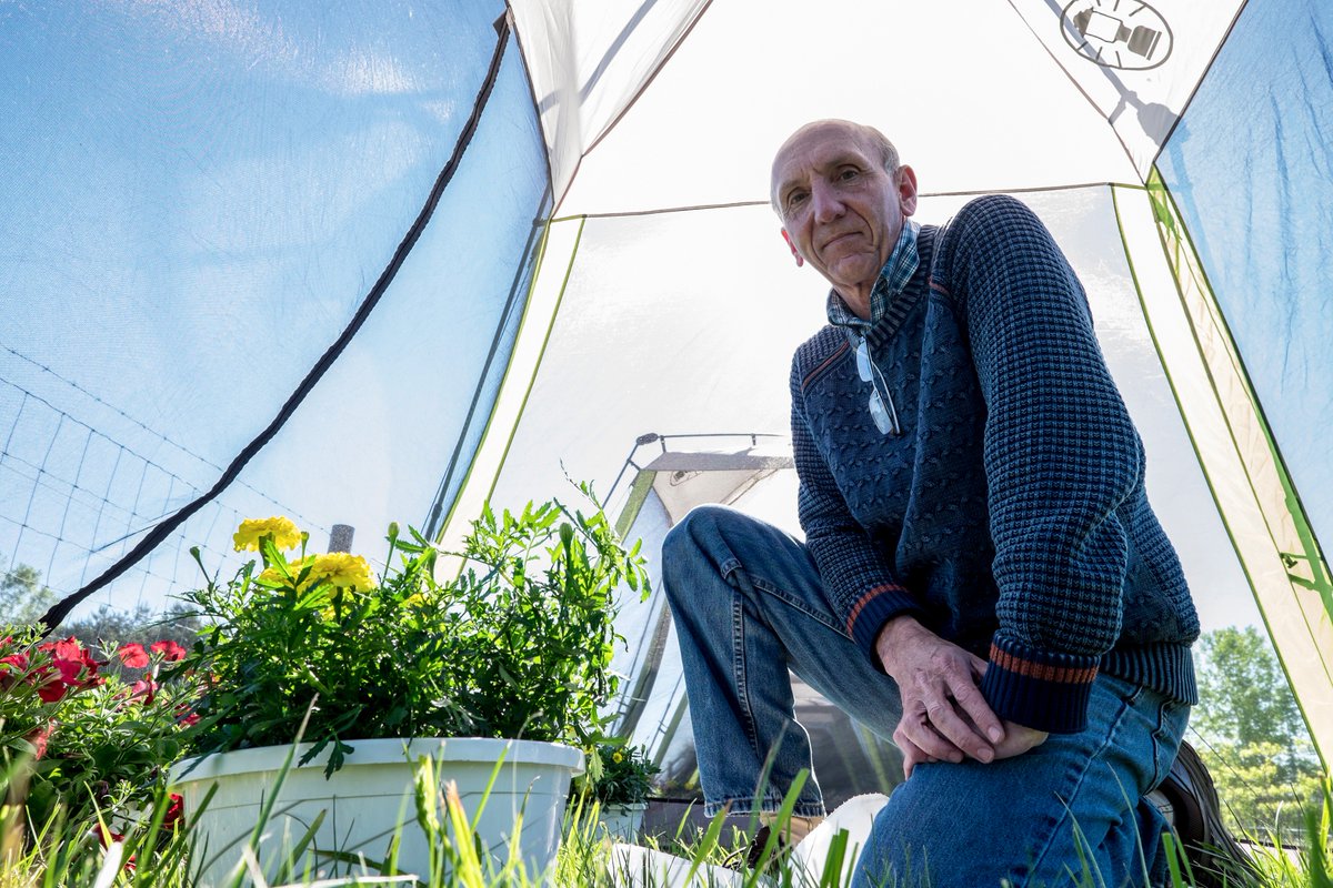 MSUAgBio's tweet photo. On this #firstdayofspring, see how #MSU scientists are helping make our gardens safer for #pollinators everywhere
https://t.co/FMZ5CYwbzW https://t.co/TwlK9sLfdf