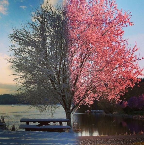 theRevueRVA's tweet photo. Hey #rva! Wanna see In Full Bloom  this Sat. @gallery5arts for free? Play the Revue Picture Puzzle game over on our Instagram (therevuerva). https://t.co/dtvyMKCVcH