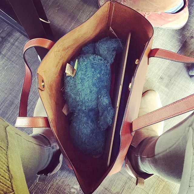 NicoleParmar's tweet photo. When you get to the office and realize #thisjai put #cookiemonster in your bag because you told him you were going to miss him too much and https://t.co/4G5mhz7y4s