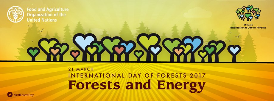 Tomorrow it's #IntlForestDay! Tune in to a live webcast of celebrations from #UNFAO HQ bit.ly/2n4ljUj by #GlobalGoalsUN