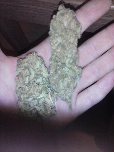 _DMSSL_'s tweet image. Only The drop. Check and left before cops