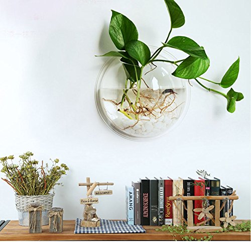 amazon's tweet image. Here's a little somefin to make your space look betta 🐠 amzn.to/2nX2O1d