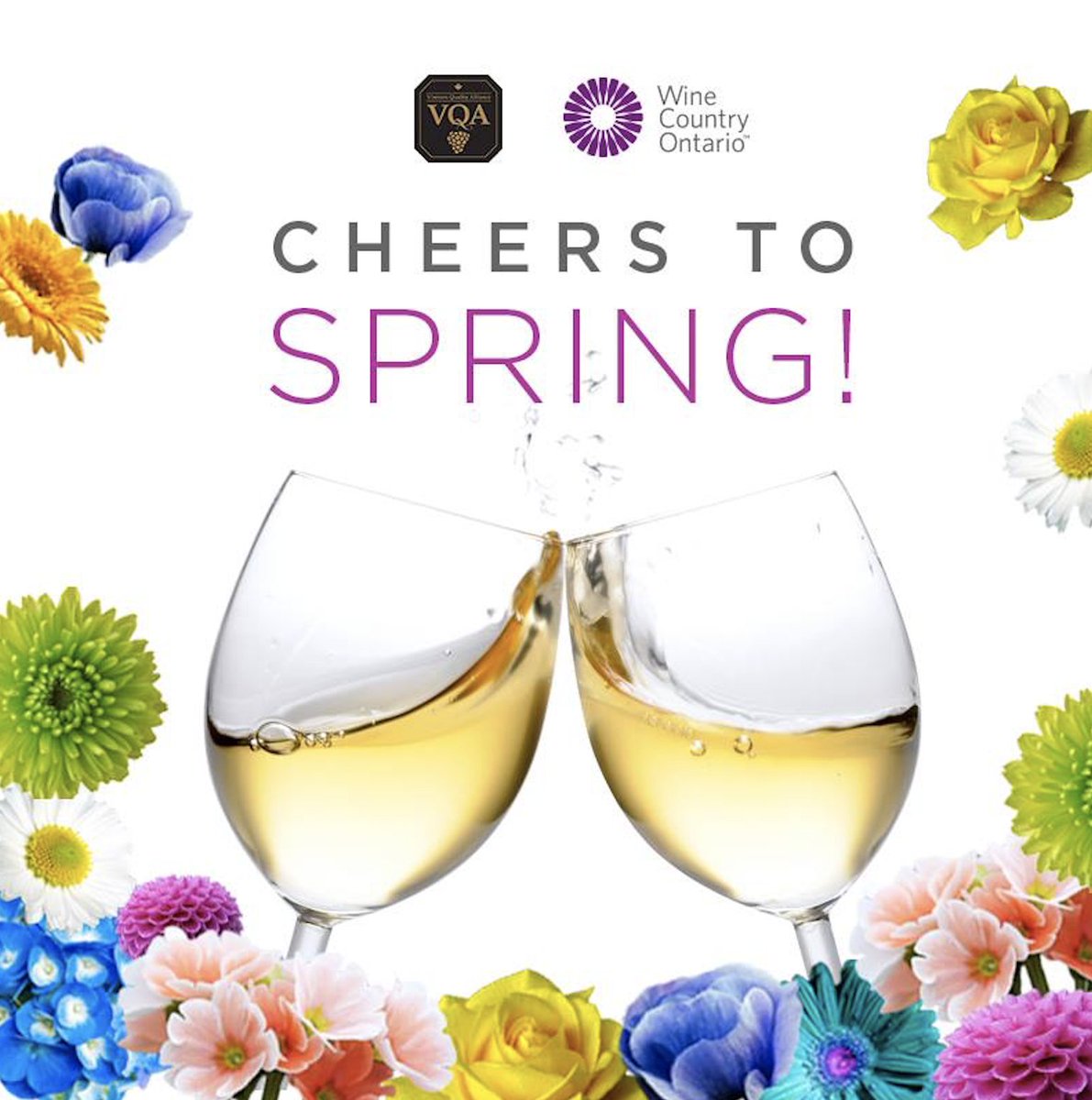 WineCountryOnt's tweet image. Cheers to Spring! #FirstDayofSpring #VQA