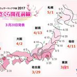 桜の開花が待ち遠しいｗあっ!もう東京では桜が咲いたんだ!