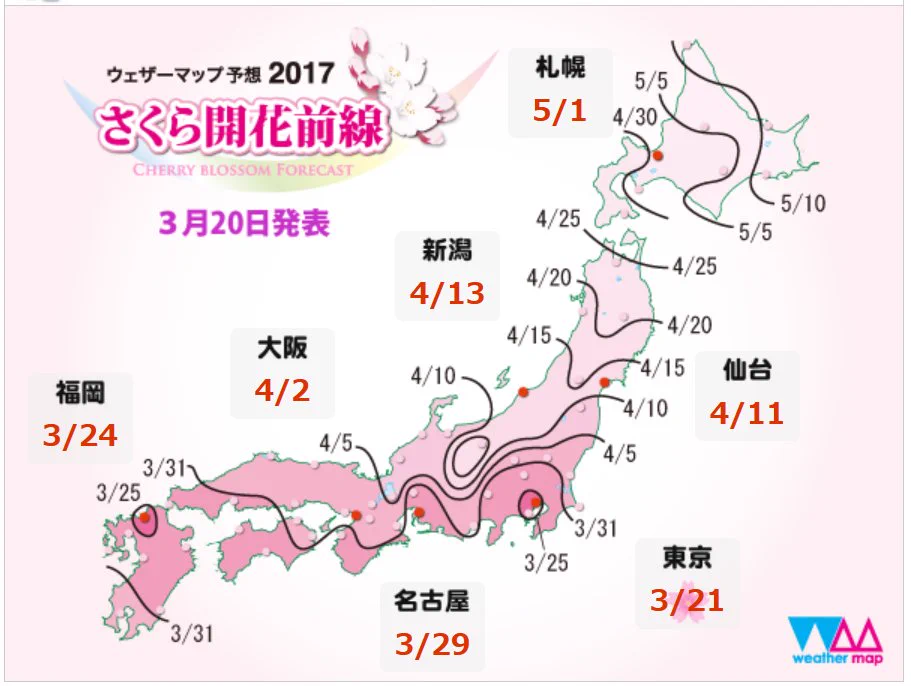 桜の開花が待ち遠しいｗあっ！もう東京では桜が咲いたんだｗｗｗ