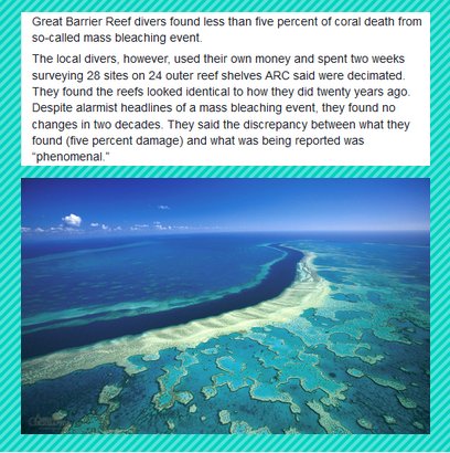 Interesting! us.blastingnews.com/news/2017/03/d… Someone is lying? I would believe the divers! #auspol #qldpol #ausmedia #adani