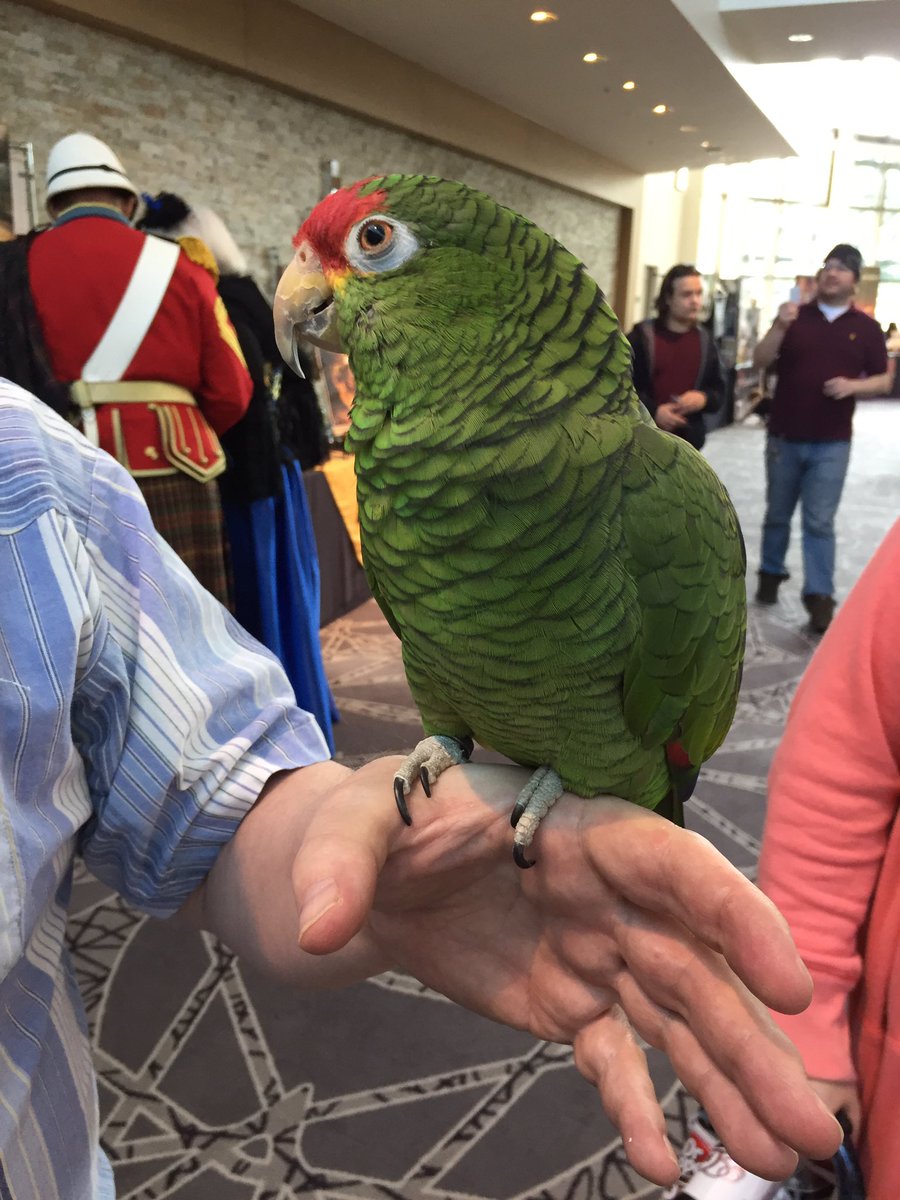 Visuallison's tweet photo. I met so many amazing people this weekend but the only one I got a picture of was this guy. #AnomalyCon https://t.co/hYD1IQk0Xm