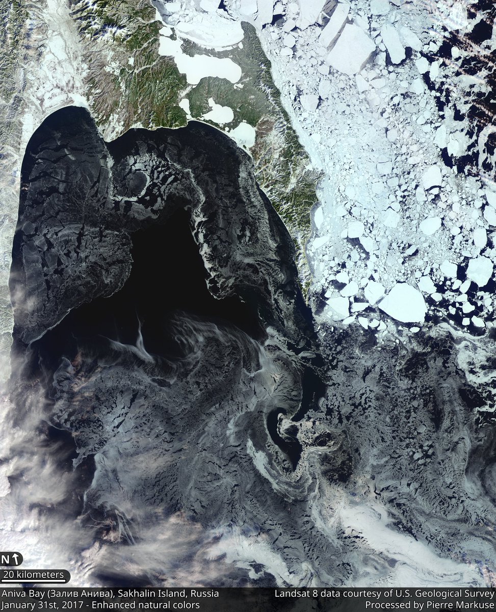 Landsat 8 image of Aniva Bay, Russia. January 31st, 2017