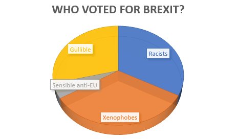 Brexit Vote Pie Chart