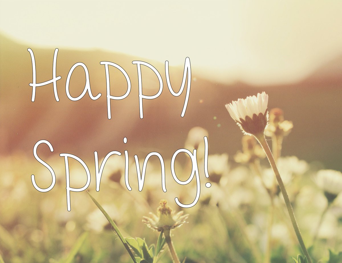 Main Street Gadgets tweet media