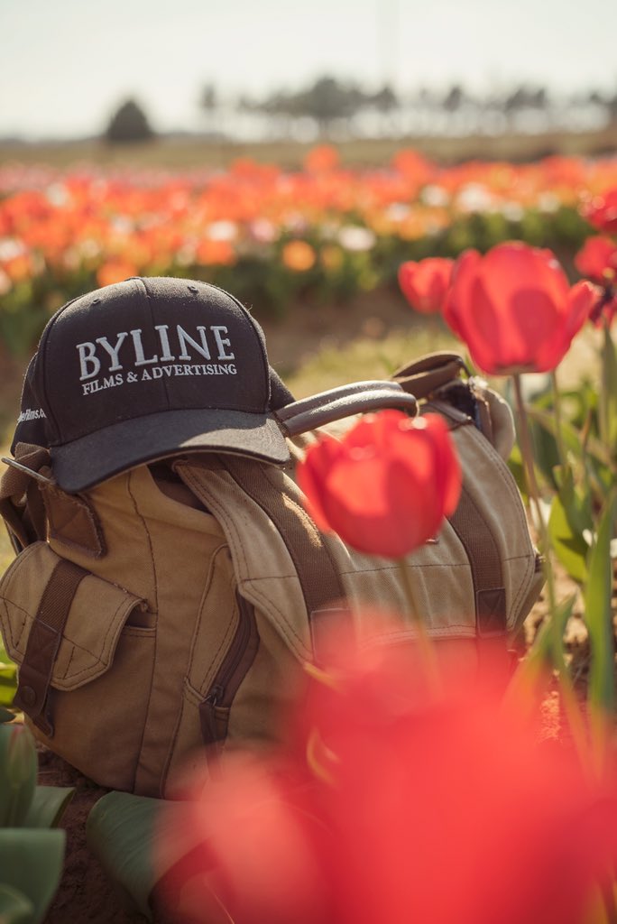 BylineFilms's tweet image. Spring&apos;s finally here! What better time to revitalize your brand image?#BetterMarketing #CreateMedia #SpringTexas #Agency #BylineFilms
