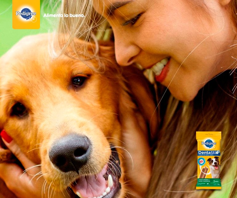 Porque sabemos que tu perro te saca más de una sonrisa cuando están juntos, agradécele cuidando la suya con Pedigree® Dentastix 😃 ❤